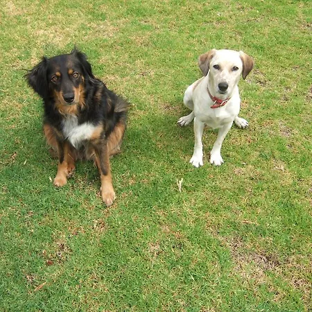 Scala Aparts & - Rhodes 3*