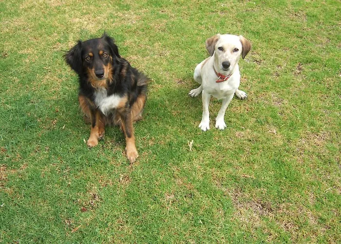 Scala Aparts & - Rhodes 3*